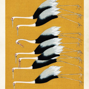 Poster - 70x50 cm / Tranor